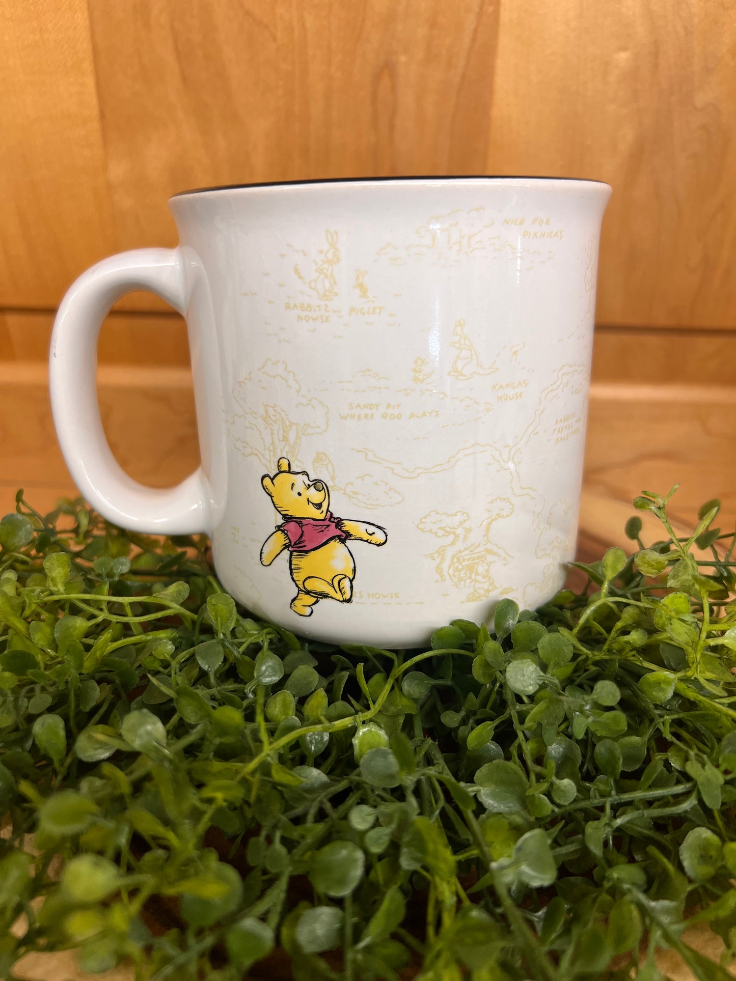100 Acre Wood Mug