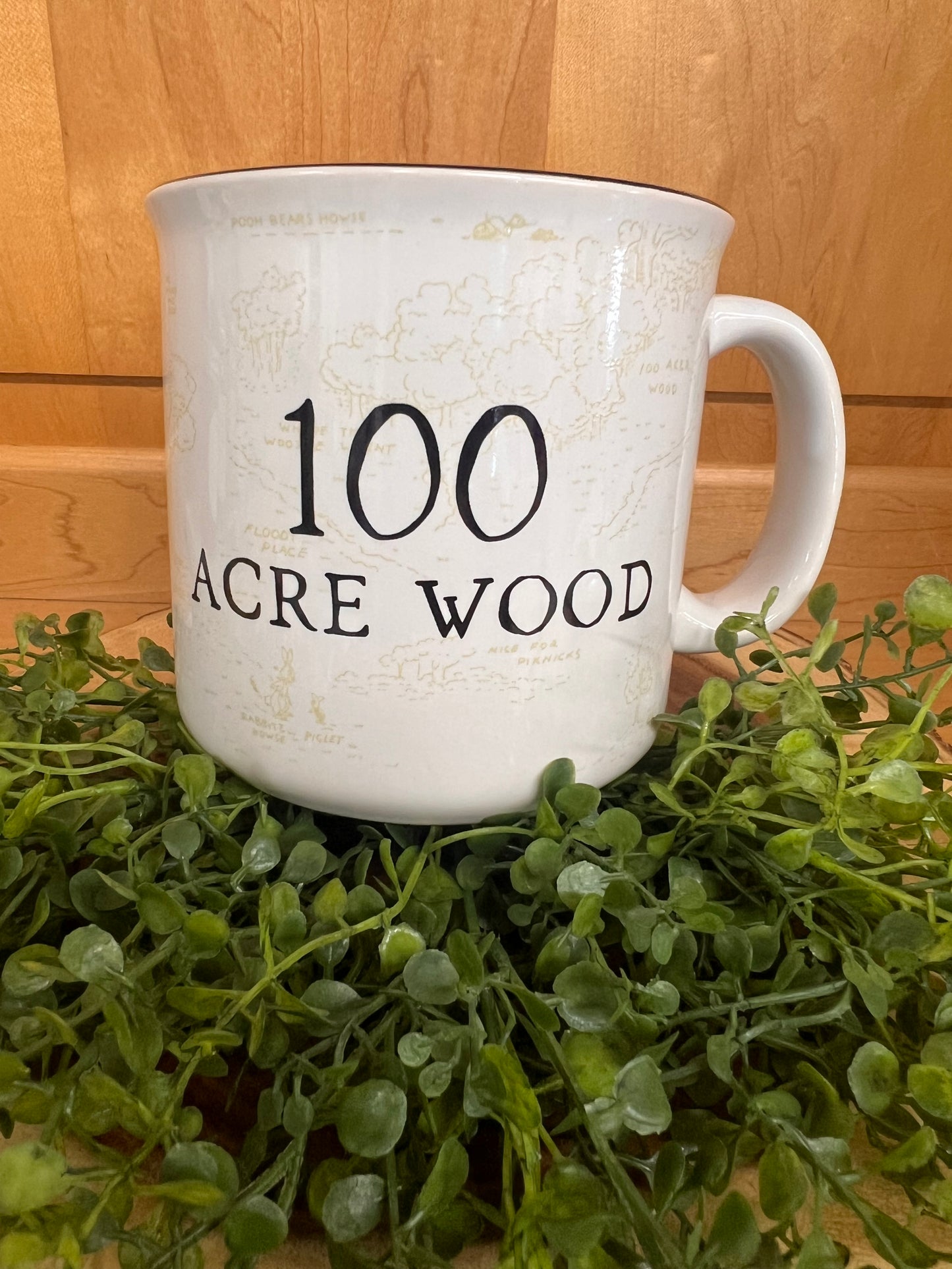 100 Acre Wood Mug