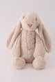 Flop Eared Bunny