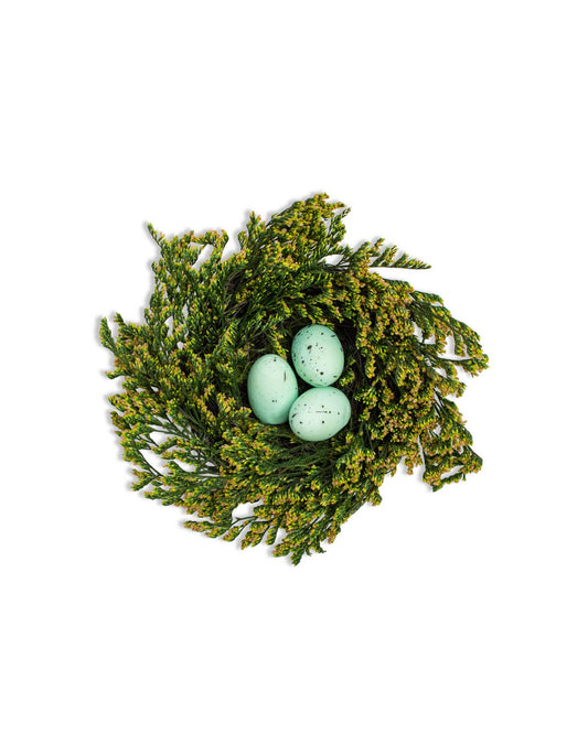 Robin Egg Nest   Green/Light Blue   4.75x4.75x2