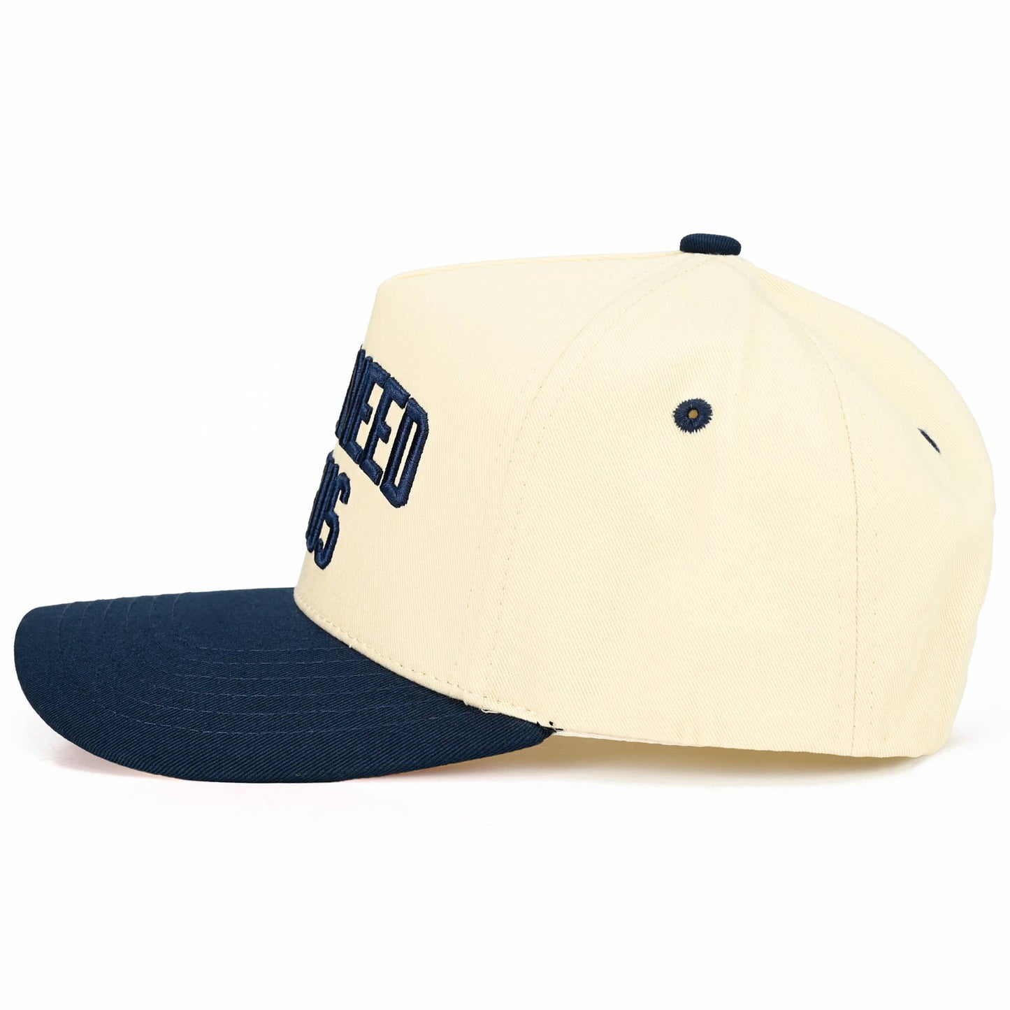 Y'ALL NEED JESUS Embroidered Trucker Hat
