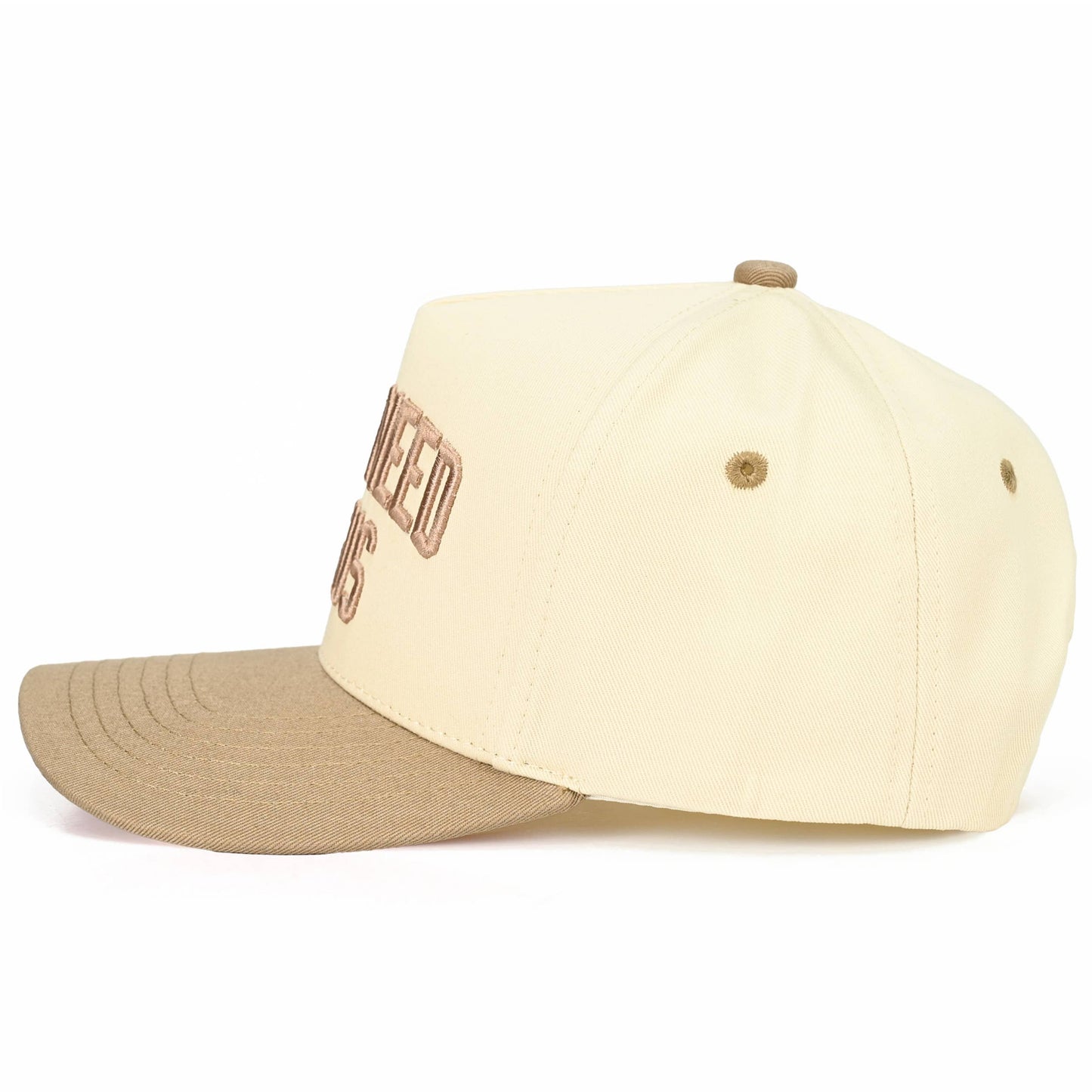 Y'ALL NEED JESUS Embroidered Trucker Hat