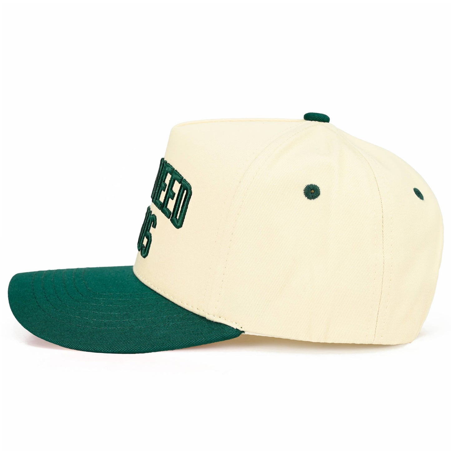 Y'ALL NEED JESUS Embroidered Trucker Hat