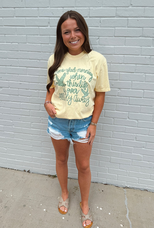 So Long, Fly Away Goose Tee