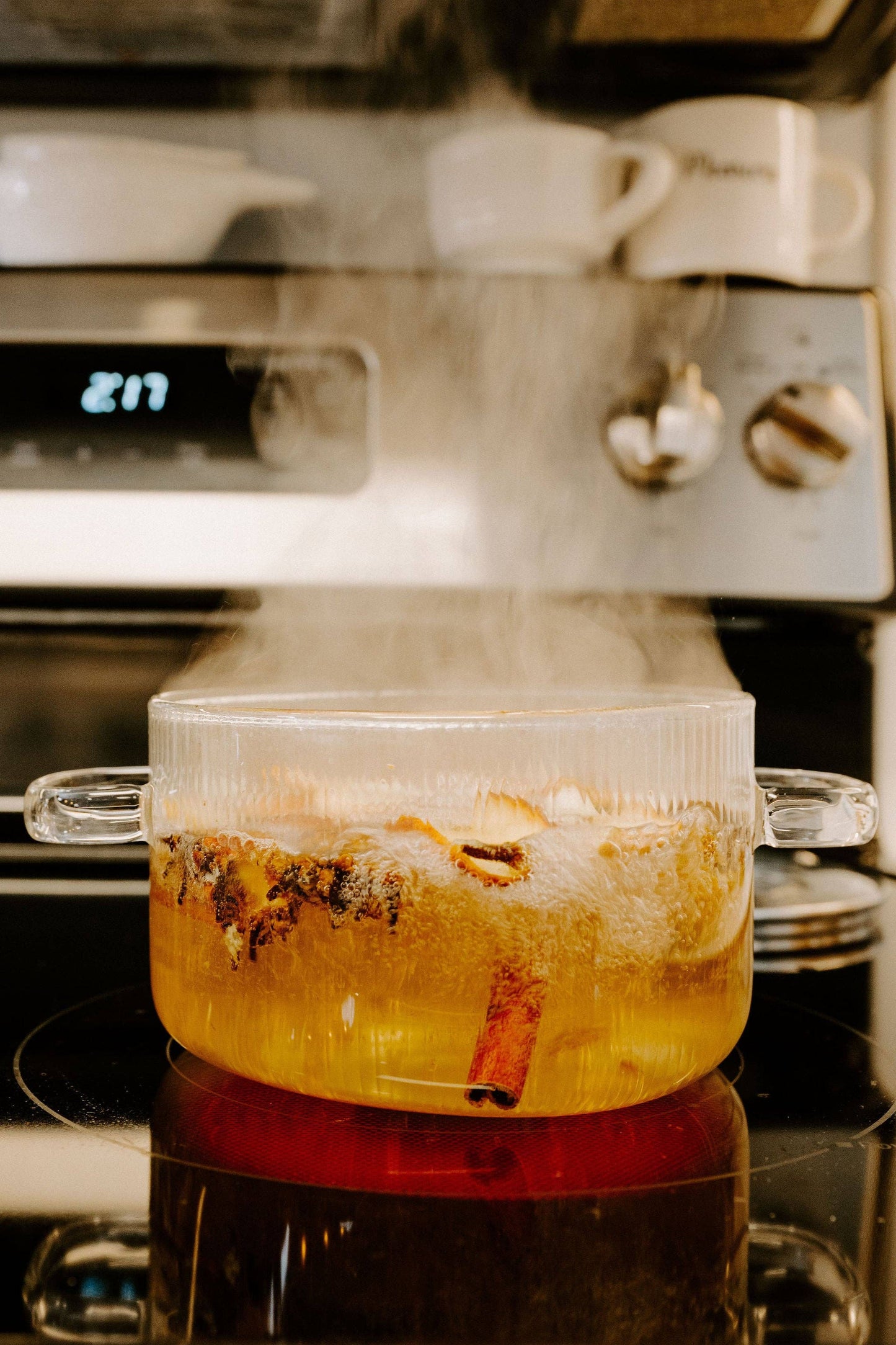 Energy Focus Simmer Pot | Lemon Lime Peppercorn Bay Leaves